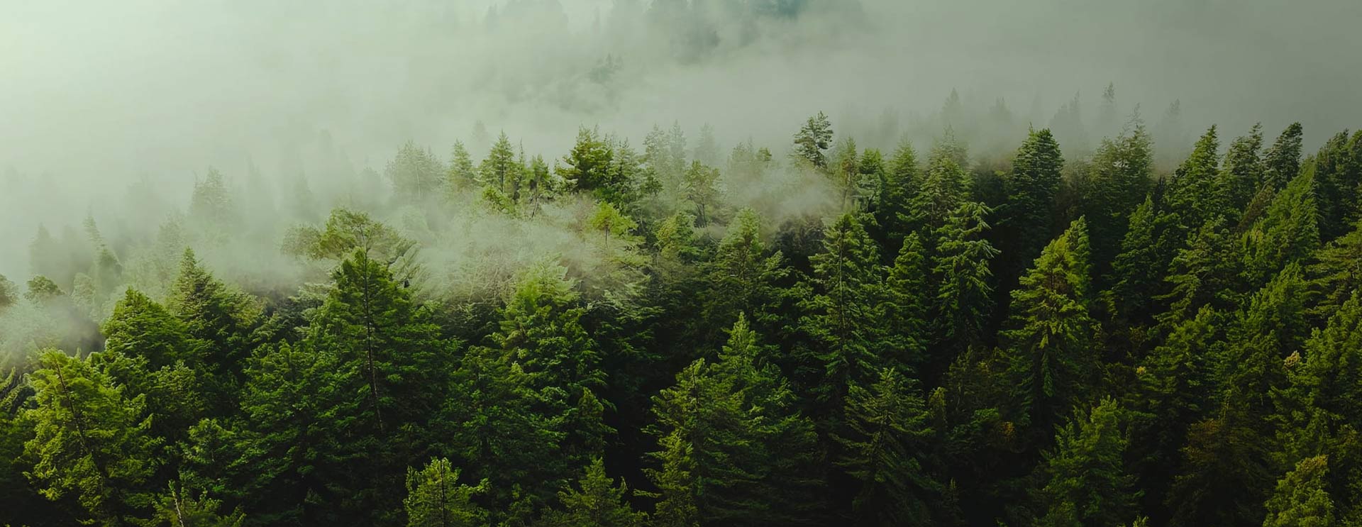 Nantong Sufang Teicstíle Co, Teo.